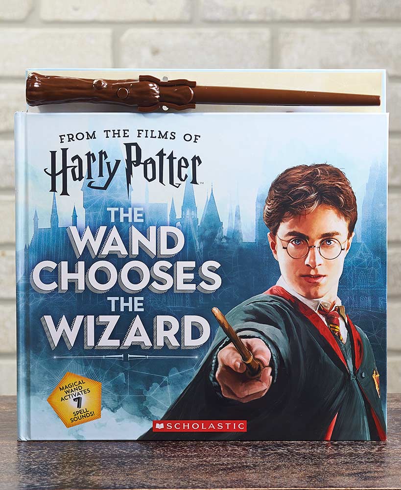 harry potter the wand chooses the wizard