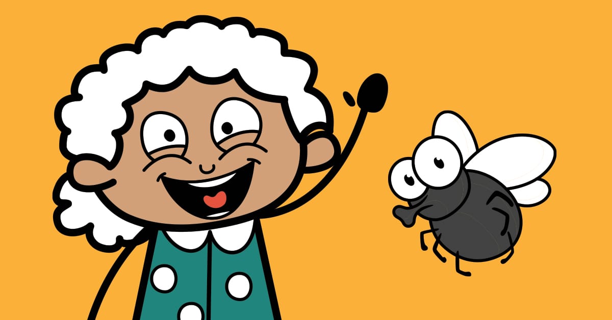 old lady who swallowed a fly graphic