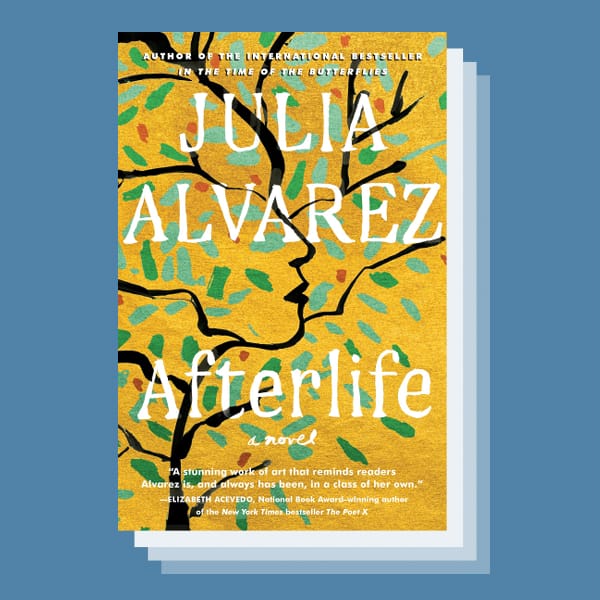 Afterlife book cover