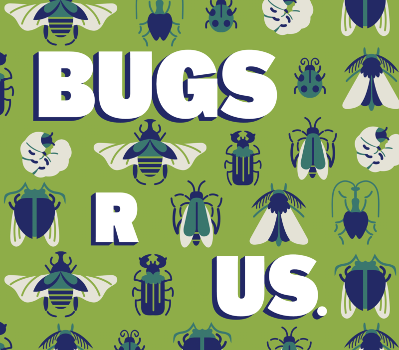 bugs r us graphic