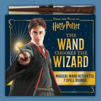 Harry potter the wand chooses the wizard book and wand