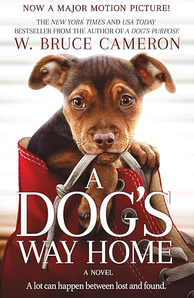 movie cover with a little brown dog in a red high top show with the shoe lace in it's mouth